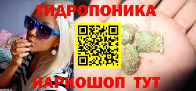 спиды Будённовск