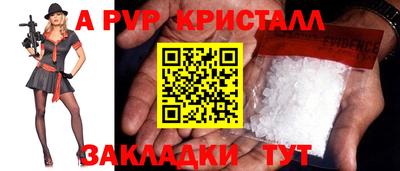 спиды Будённовск