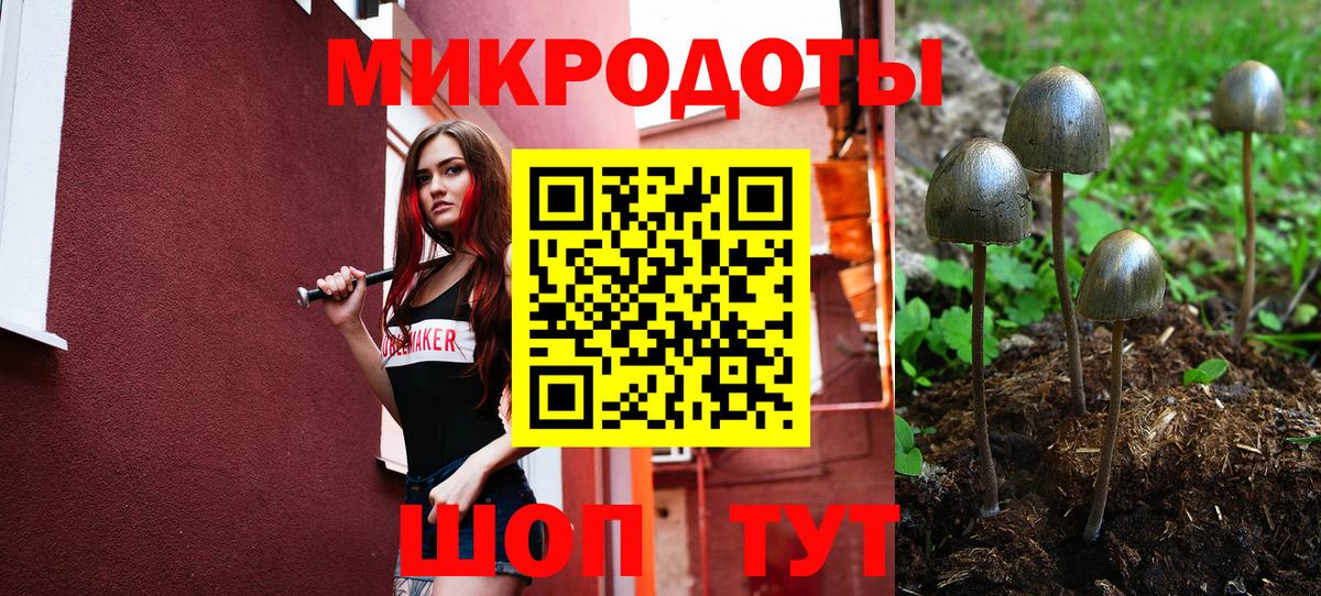 Галлюциногенные грибы MAGIC MUSHROOMS  Псилоцибиновые грибы прущие грибы  Мурино  Вход с VPN 