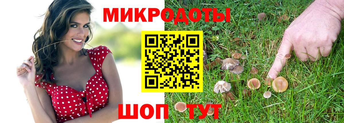 Галлюциногенные грибы мухоморы Мурино